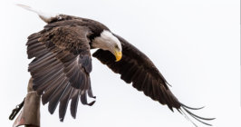 Michael Kannenberg - kamich.de