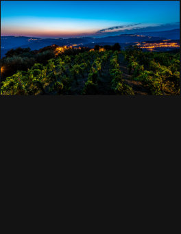 Michael Kannenberg - kamich.de