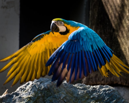 Michael Kannenberg - kamich.de