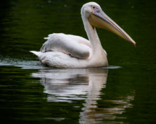Michael Kannenberg - kamich.de