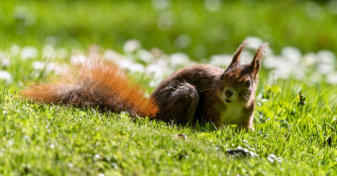 Michael Kannenberg - kamich.de