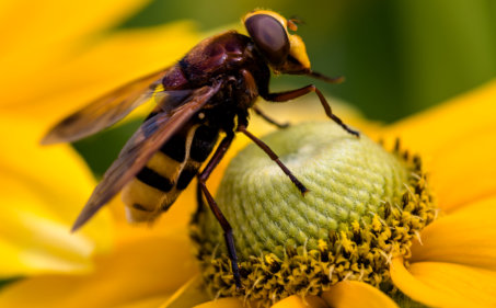 Michael Kannenberg - kamich.de