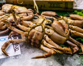 Michael Kannenberg - kamich.de