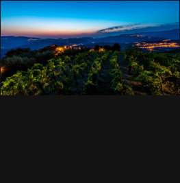 Michael Kannenberg - kamich.de