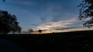 Michael Kannenberg - kamich.de