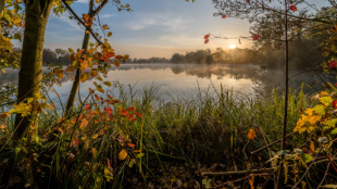 Michael Kannenberg - kamich.de